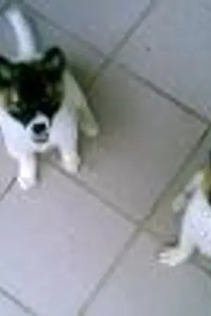 ปก Chien-Tang Online   ภาคก้าวแรกสู่บัลลังก์