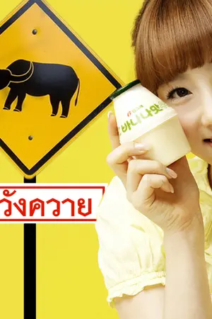 ปก ข้าวของขวัญ ... Organic LOVE