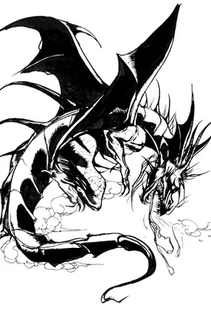 ปก Dragon King Online (จ้าวมังกรออนไลน์)
