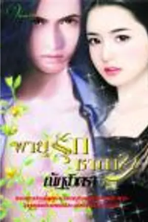 ปก พายุรักซาตาน re - up