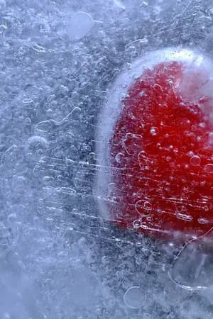 ปก [Fic Harry]Frozen Heart [JP/SS]ft.[HP/DM]