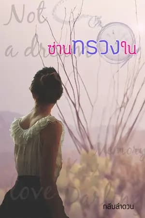 ปก ซ่านทรวงใน(เปิดจอง เจตน์ SSP)