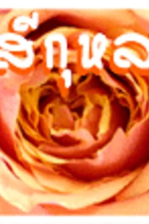 ปก กลรัก...สีกุหลาบ