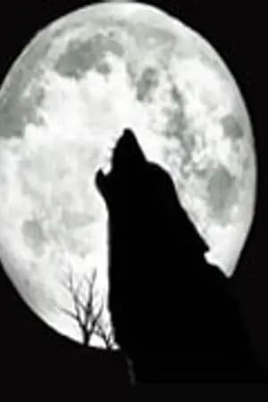ปก That Wolf...it's me {fic exo}