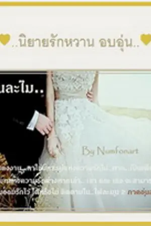 ปก ไฟละมุน