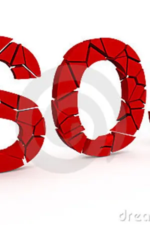 ปก SOSO (Simulation Of Soul Online)