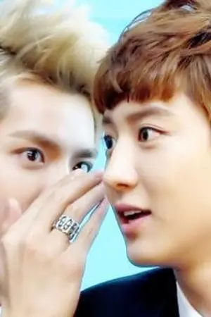 ปก KYfamily Krisyeol ft. Sehun kyungsoo