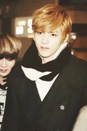 ปก [EXO][Fic] Strawberry✿Crisis [KrisLu ChanBaek]