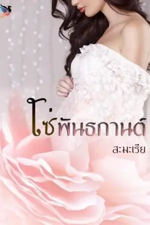 ปก โซ่พันธกานต์