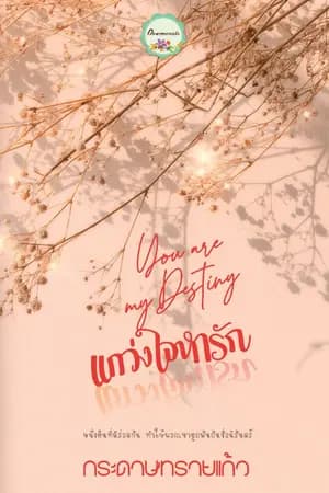 ปก แกว่งใจหารัก you are my destiny (จบแล้ว)