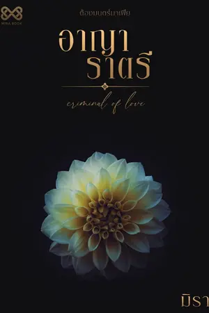 ปก อาญาราตรี [นิยายชุด ต้องมนตร์มาเฟีย]