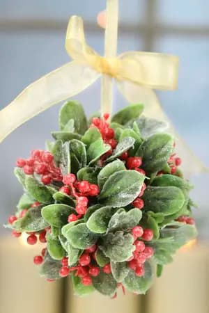 ปก Mistletoe Kiss จูบรักให้อุ่นใจ