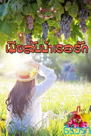 ปก เมียลับบำเรอรัก (หนี้สัญญาเมียเก็บ)