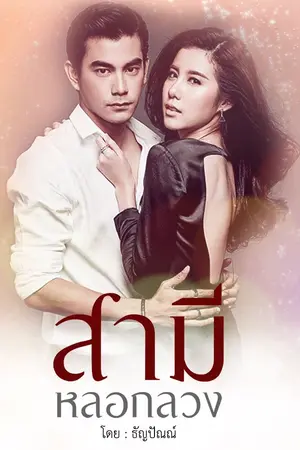 ปก สามีหลอกลวง