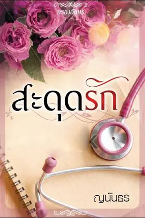 ปก สะดุดรัก