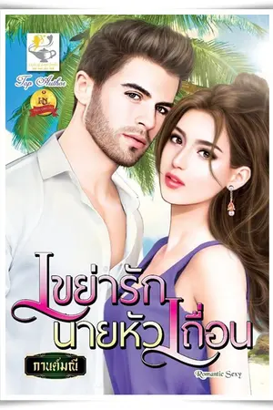 ปก เขย่ารักนายหัวเถื่อน