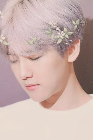 ปก end - (exo) swan lake | chanbaek