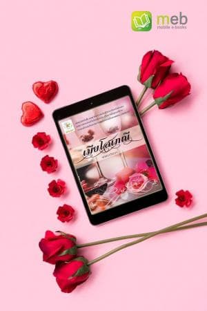 ปก เมียโสเภณี (มี e-book)