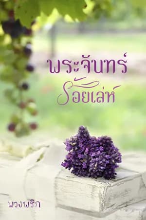 ปก พระจันทร์ร้อยเล่ห์ [พิมพ์คำ new star]