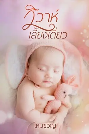 ปก วิวาห์เลี้ยงเดี่ยว (จบ)