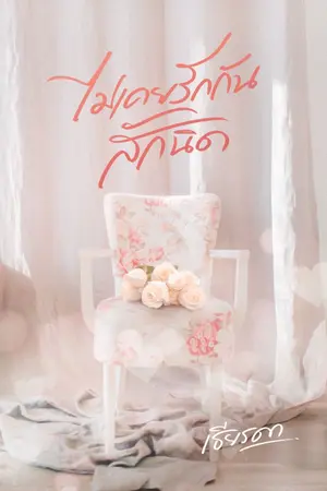 ปก ไม่เคยรักกันสักนิด | E-book