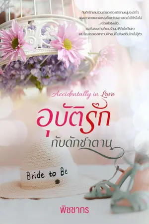 ปก อุบัติรัก กับดักซาตาน: Accidentally in Love (รีอัพค่ะ)