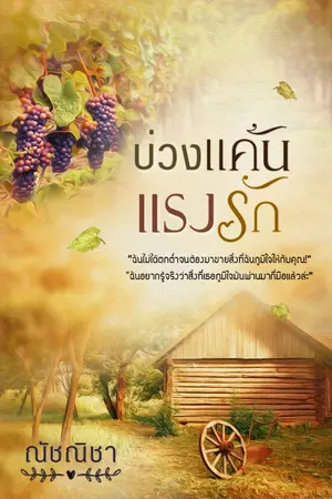 ปก บ่วงแค้นแรงรัก [ฉบับรีไรท์]