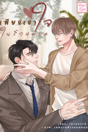 ปก เพียงเงาใจในริ้วหมอก