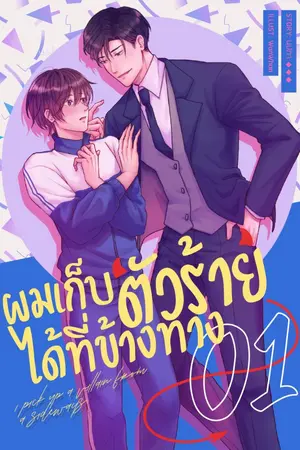 ปก ผมเก็บตัวร้ายได้ที่ข้างทาง