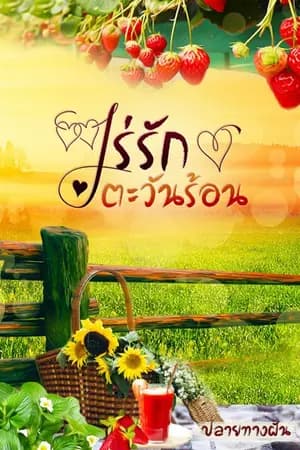 ปก ไร่รักตะวันร้อน