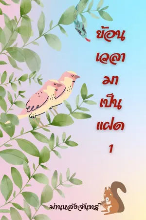 ปก ย้อนเวลามาเป็นแฝด (มี E-book )