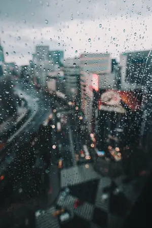 ปก [os/sf] The Sheltering Rain: All x Daehwi