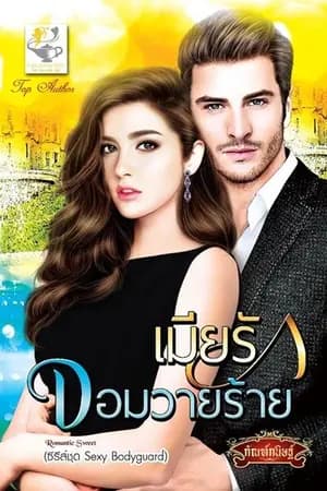ปก เมียรักจอมวายร้าย