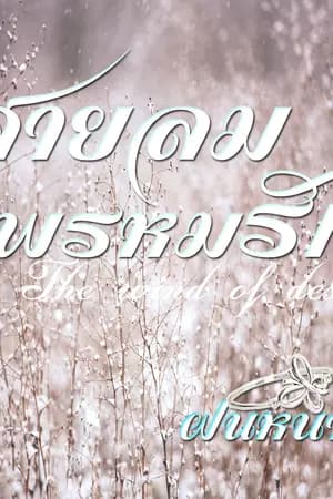 ปก สายลมพรหมรัก.
