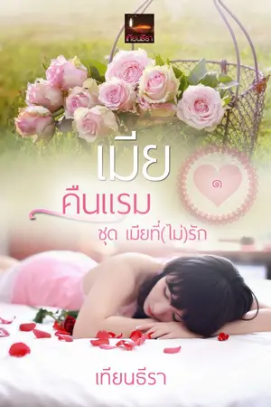 ปก เมียคืนแรม ซีรีส์เมียที่(ไม่)รัก เล่ม๑ รีอัพ