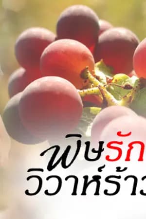 ปก พิษรัก วิวาห์ร้าว (reup)