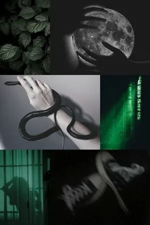 ปก (END) SECTUMSEMPRA (Draco/OC)