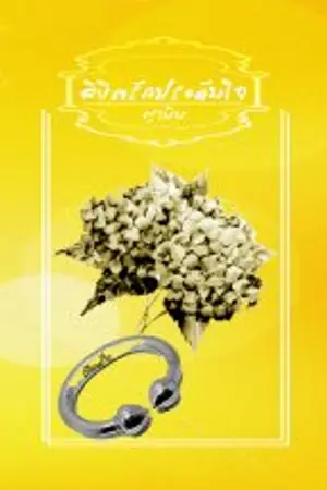 ปก ลิขิตรักประดับใจ