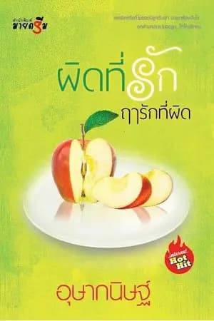 ปก ผิดที่รักฤารักที่ผิด By อุษากนิษฐ์