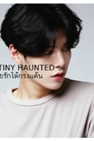 ปก DESTINY HAUNTED