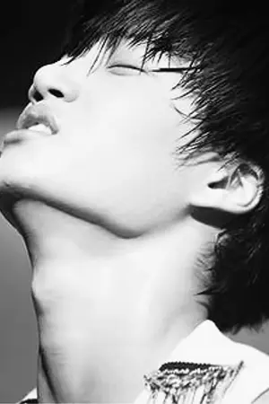 ปก {EXO FICTION} STUPID LOVE #ฟิคความเมีย