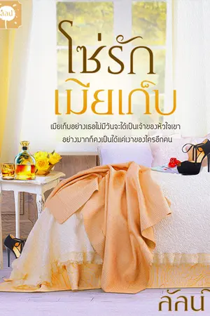 ปก โซ่รักเมียเก็บ