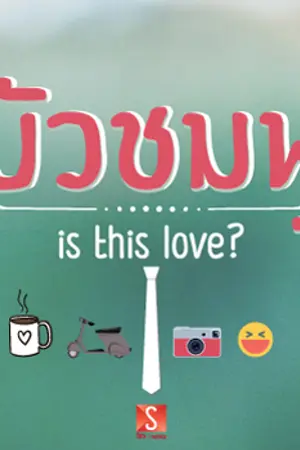 ปก บัวชมพู Is this love (เรียบเรียงใหม่)