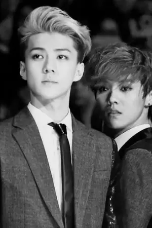 ปก 『HUNHAN』ＧＲＥＹ ♡