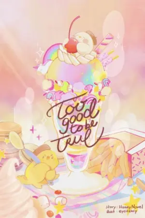 ปก Too good to be true #พิกุลทูกู๊ด [E-Book & รอบสต็อกเปิดแล้วค่า]