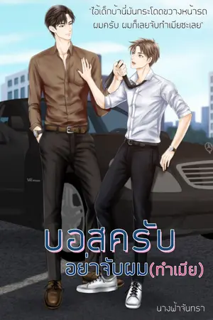 ปก บอสครับ อย่าจับผม...(ทำเมีย) [มีE-Book]