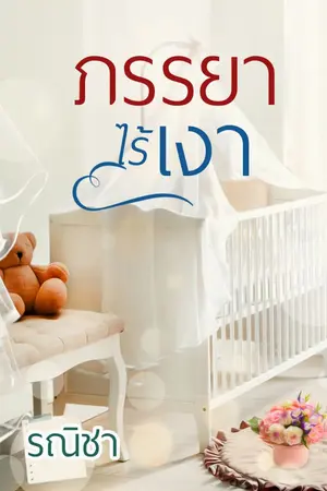 ปก ภรรยาไร้เงา รีอัพ
