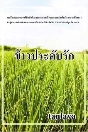 ปก ข้าวประดับรัก