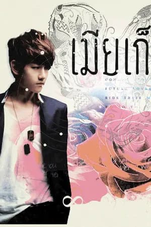 ปก '[FIC EXO] เมียเก็บ {ChanBaek} * end