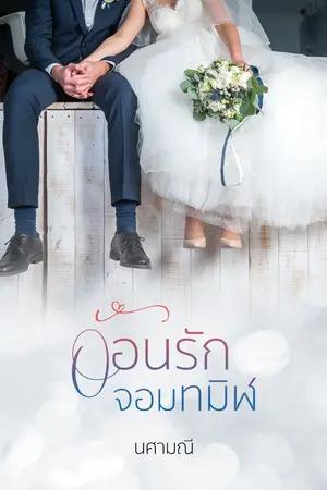 ปก อ้อนรักจอมทมิฬ (ลำดับ3 ชุดอ้อนรัก) ebook มาแล้ว